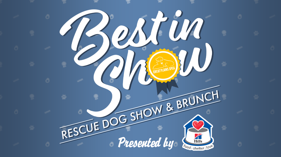 Best In Show Rescue Dog Show